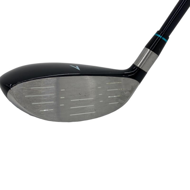 �`�s�g�o�n�q�s�@���{�i�Q�O�P�O�j�@�t�Q�P�@���f�B�[�X