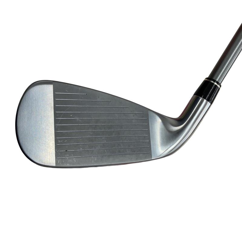 �������@���{�i�Q�O�P�X�j�@�t�S