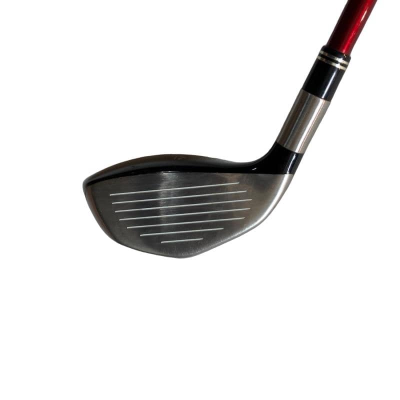 �s�����������@�l�������@�q�`�x�k�n�q�@�P�X°