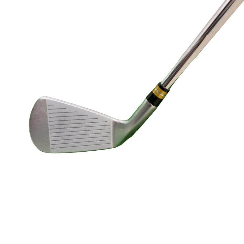 �i���������@���p�@�T�r�i���{���F�T�{�Z�b�g�j