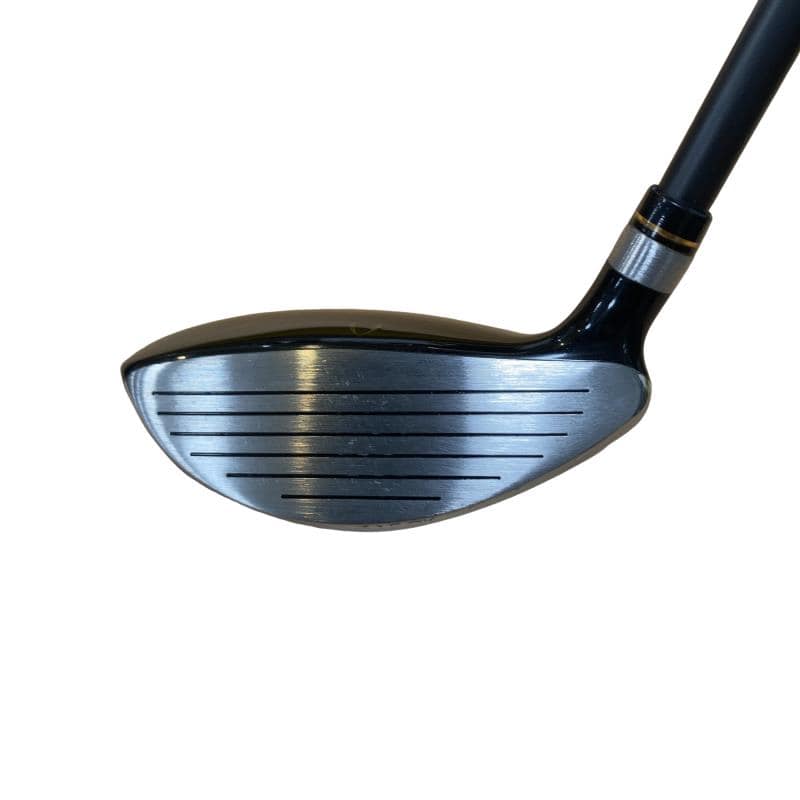 �j�Q�j�@���������O�X���[�e�B���e�B�@�t�T