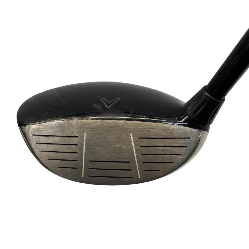 �w�@���[�e�B���e�B�@�S�g�@�t�r�`