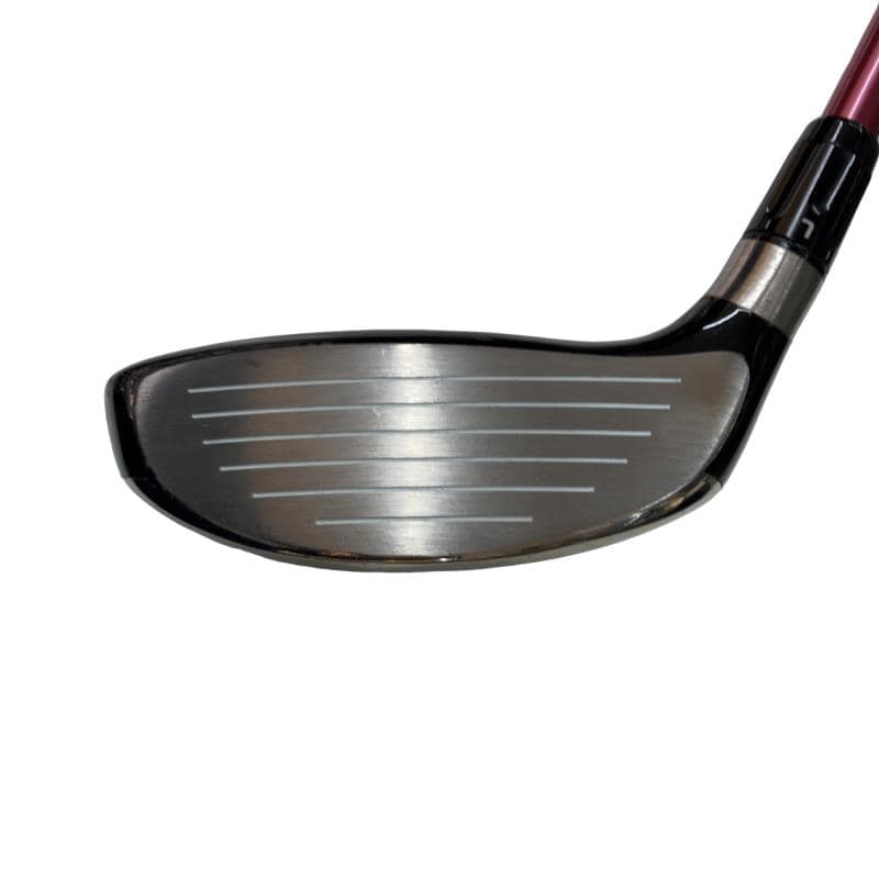 �q�X�@�l�`�w�@�s���@�V�v�@���f�B�[�X