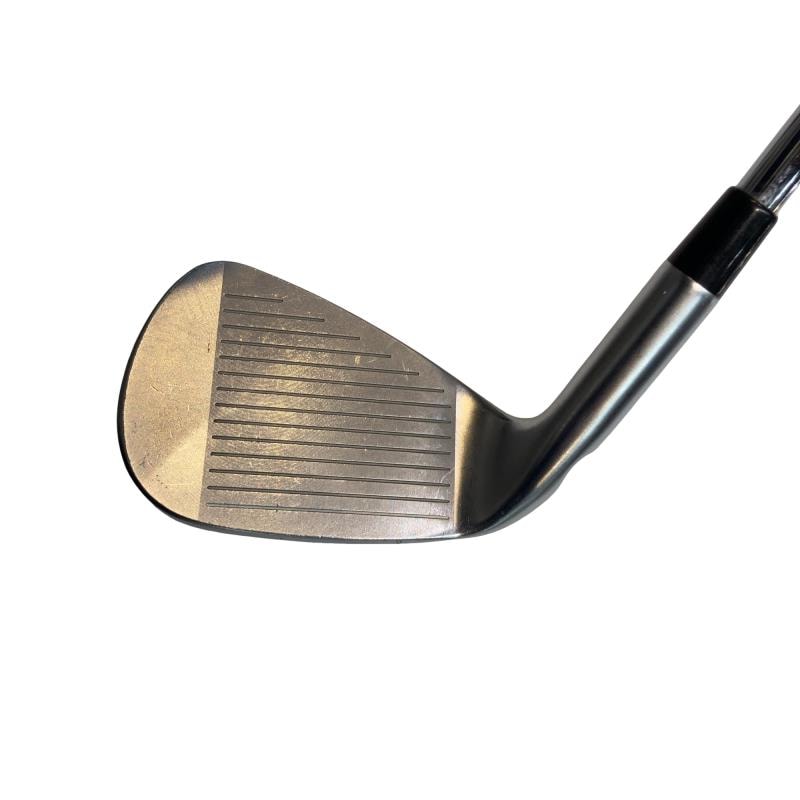 ���Q�P�O�@�X�r�i���{���F�V�{�Z�b�g�j