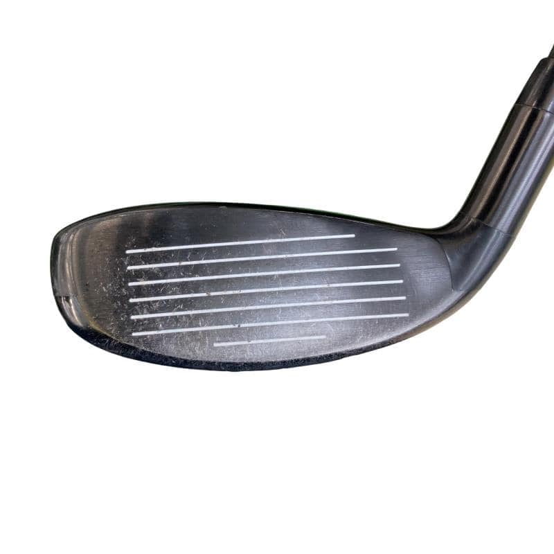 �w�Q�@�g�n�s�@�t�T