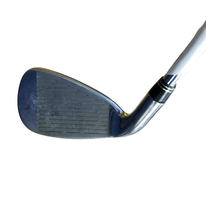 �j�h�m�f�@�����������@�r�X�@�@�U�r�i���{���F�U�{�Z�b�g�j