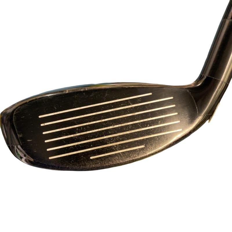 �w�Q�@�g�n�s�@�t�R