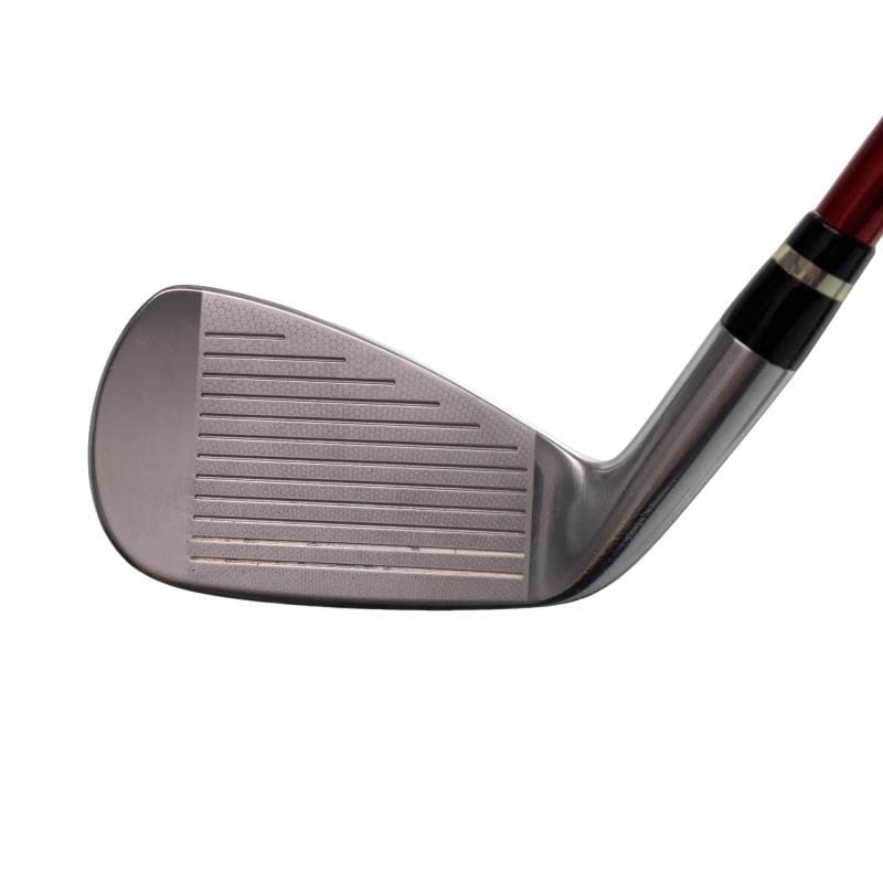 �������������@�q�l�w�@�t�c�{�Q�@�V�r�i���{���F�V�{�Z�b�g�j