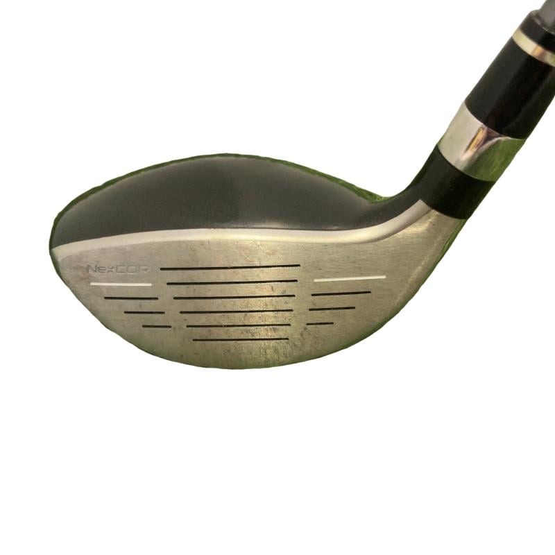 �u�q�Q�r�@���[�e�B���e�B�@�t�S