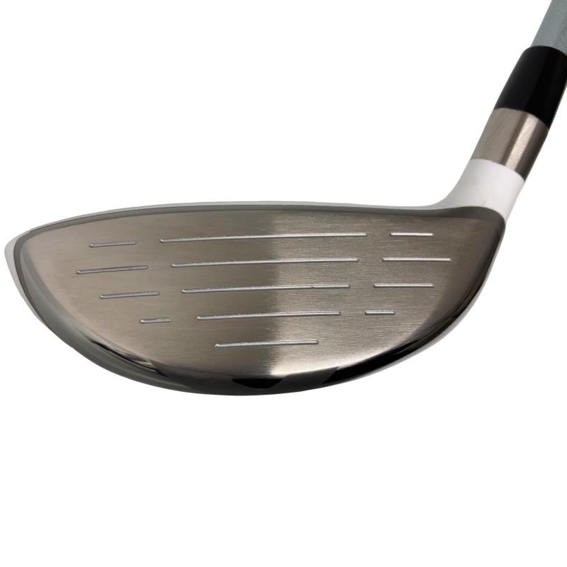 �a�q�|�w�@�T�v�@���f�B�[�X