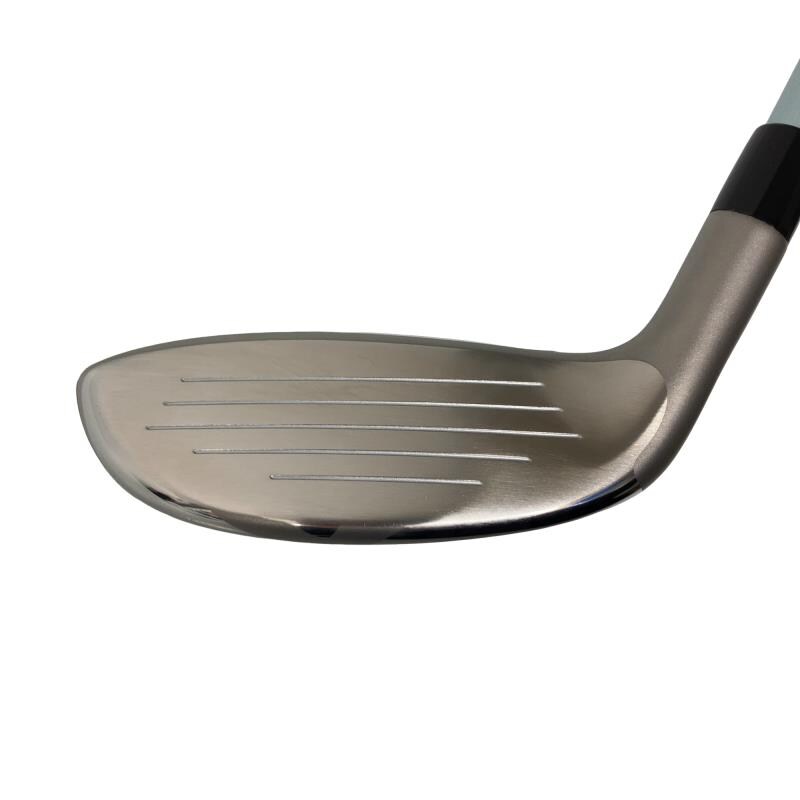 �a�q�|�w�@�t�T�@���f�B�[�X