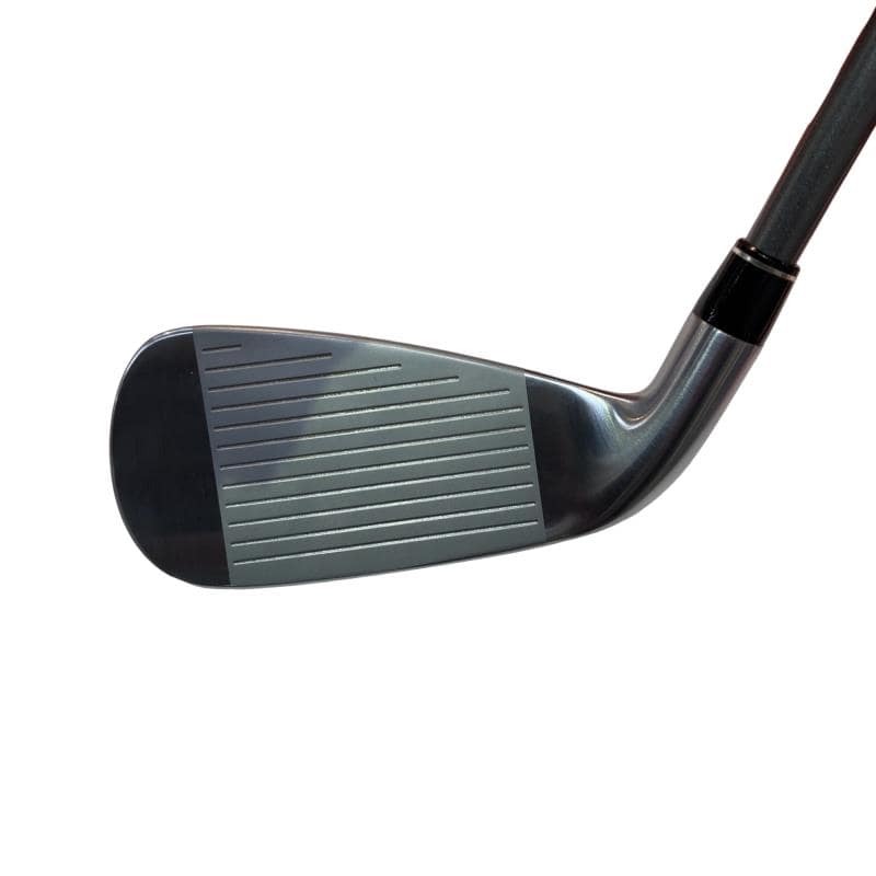 �������@���{�i�Q�O�P�X�j�@�t�T