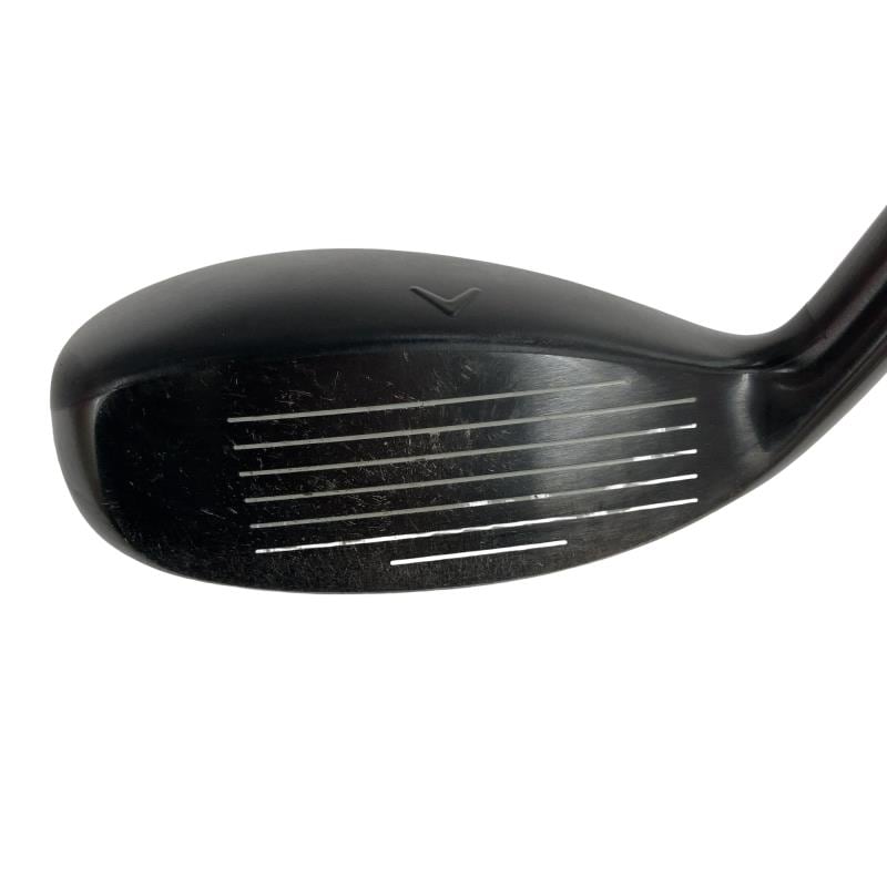 �w�q�@�P�U�@�n�r�@�t�R