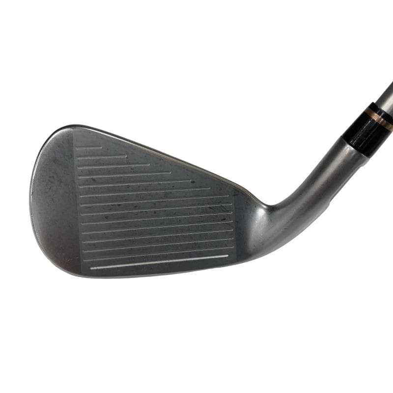 �l�@�f�k�n�h�q�d�@�U�r�@���f�B�[�X�i���{���F�U�{�Z�b�g�j