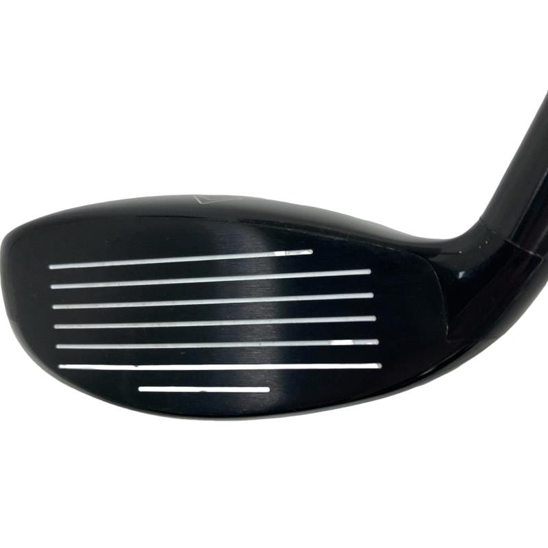 �w�Q�@�g�n�s�@�t�R