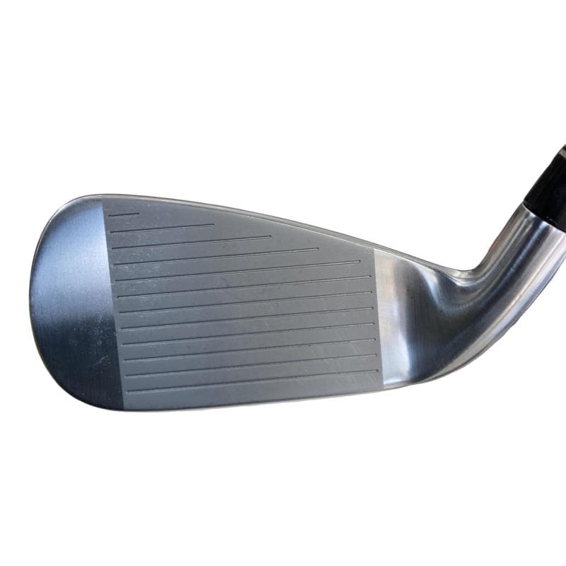 �������@���{�i�Q�O�P�X�j�@�t�T