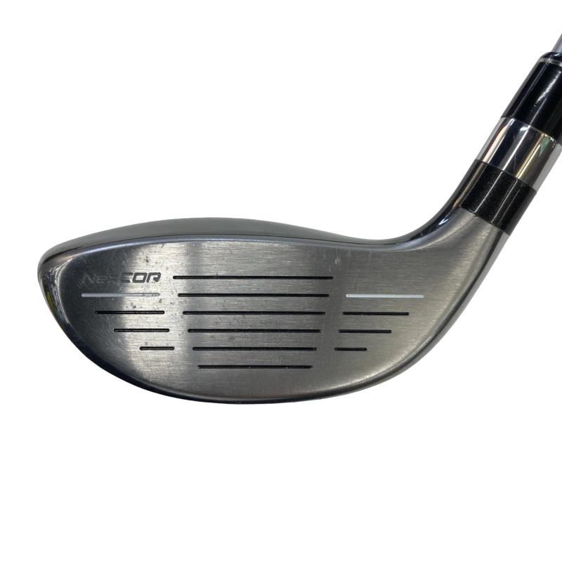 �u�q�Q�r�@���[�e�B���e�B�@�t�Q