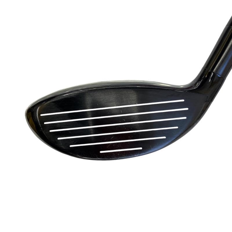 �w�Q�@�g�n�s�@�o�q�n�@�P�T°