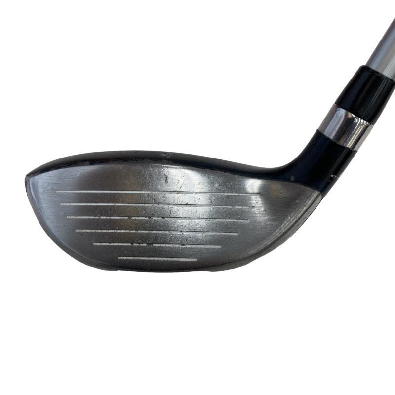 �a�������������@�w�k�@�T�g�@�t�r�`