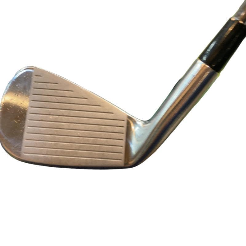 �l�����������@�o�����@�Q�Q�P�@�U�r�i���{���F�U�{�Z�b�g�j