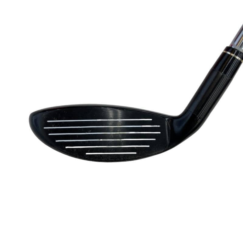 �w�@�g�n�s�@�t�R