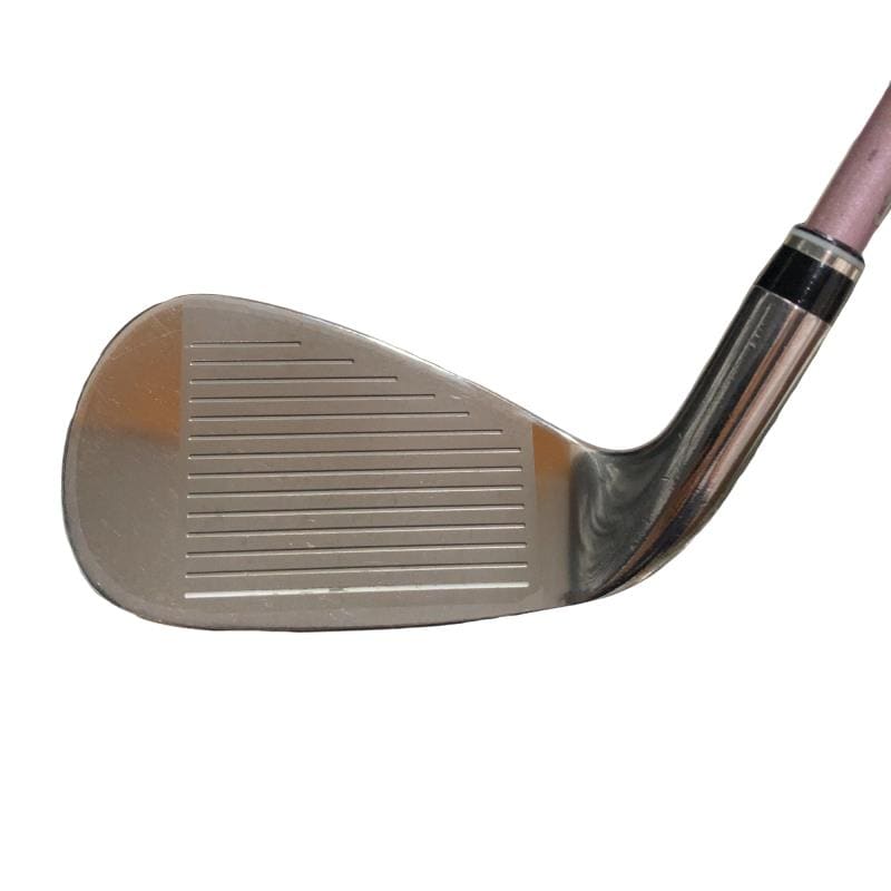 �w�w�h�n�i�Q�O�P�W�j�@�T�r�i�{���h�[�j�@���f�B�[�X�i���{���F�T�{�Z�b�g�j