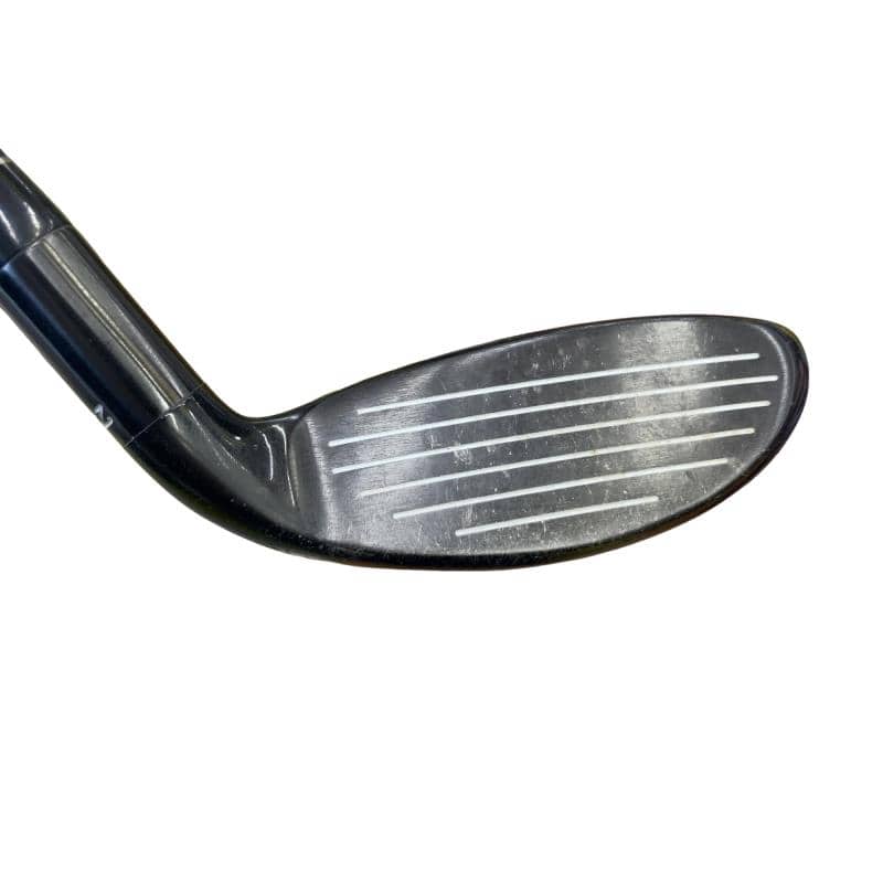 �w�@�g�n�s�@�t�S�@���t�e�B