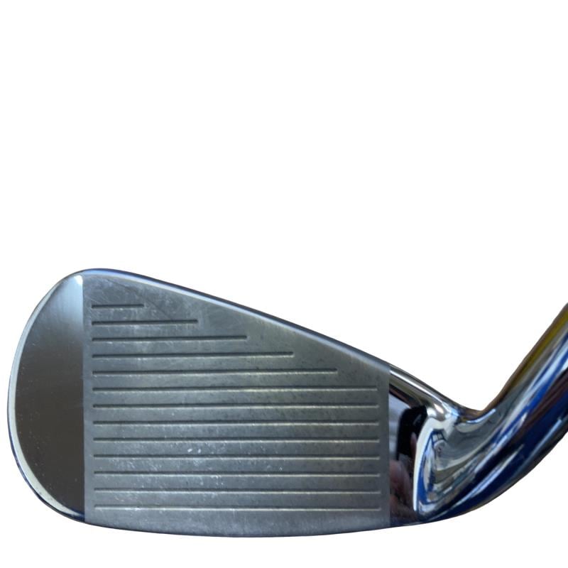 �l�`�i�d�r�s�x�@�q�����������i�Q�O�Q�P�j�@�T�r�i���{���F�T�{�Z�b�g�j