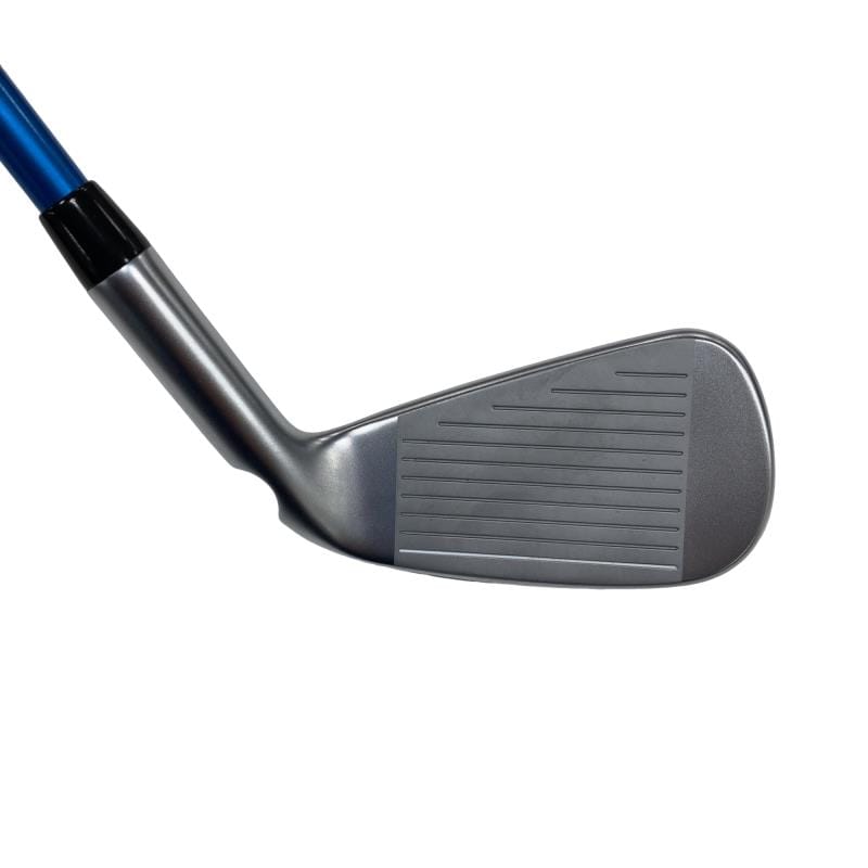 ���c���@�t�S�@���t�e�B