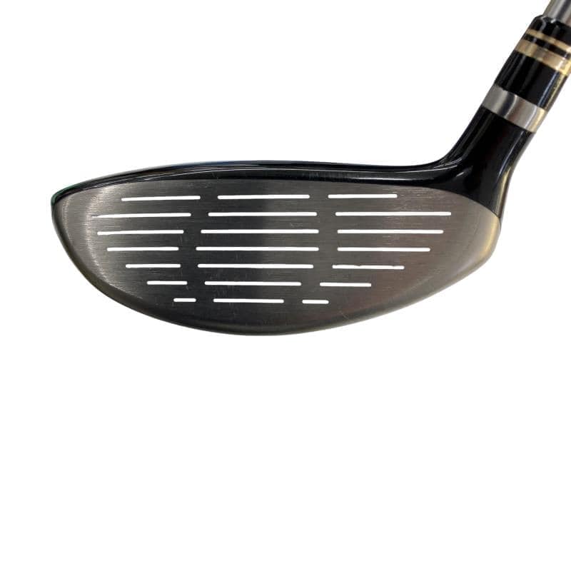 �q���������@���[�e�B���e�B�@�V���o�[�@�S�t�@���f�B�[�X