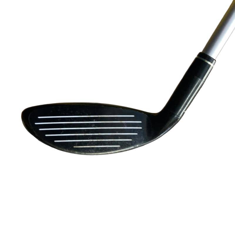 �w�@�g�n�s�@�t�S