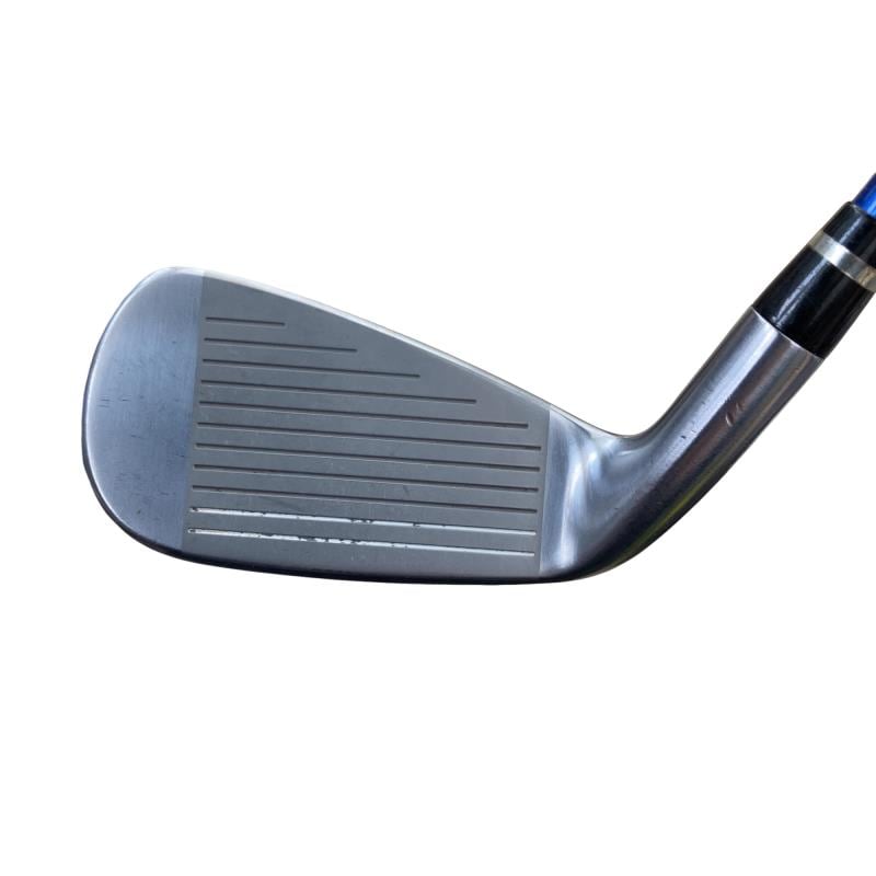 �������������@�t�c�{�Q�@�U�r�i���{���F�U�{�Z�b�g�j