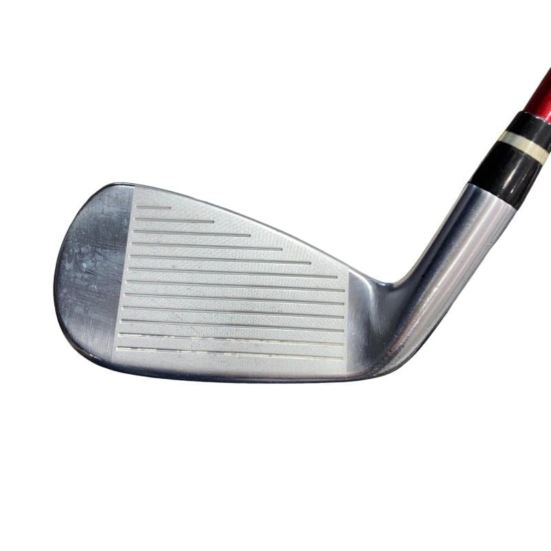 �������������@�q�l�w�@�t�c�{�Q�@�V�r�i���{���F�U�{�Z�b�g�j