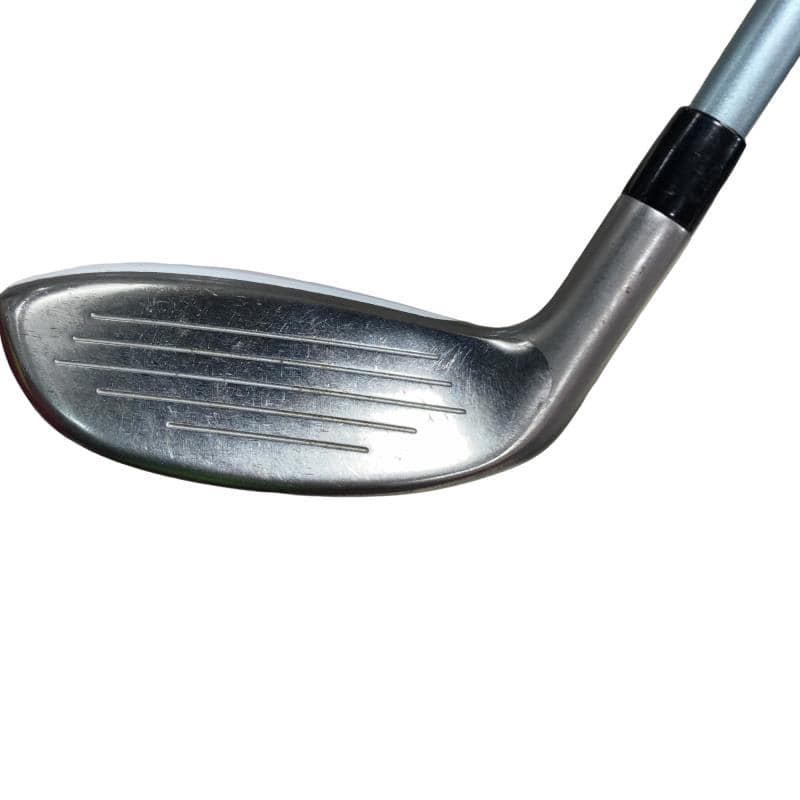 �a�q�|�w�@�t�U�@���f�B�[�X