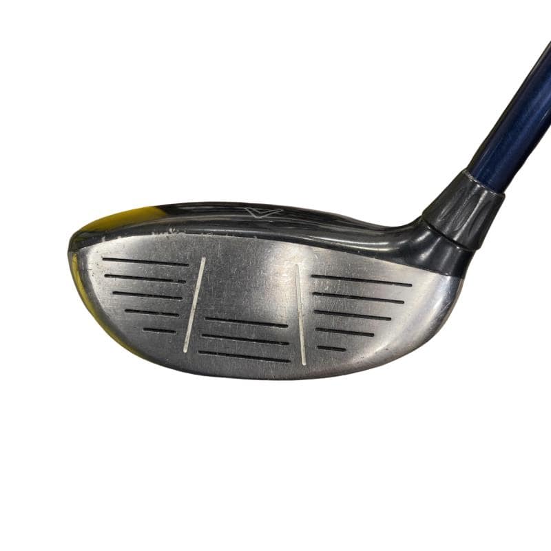 �w�@�c�q�r�@���[�e�B���e�B�@�S�g�i�Q�S°�j