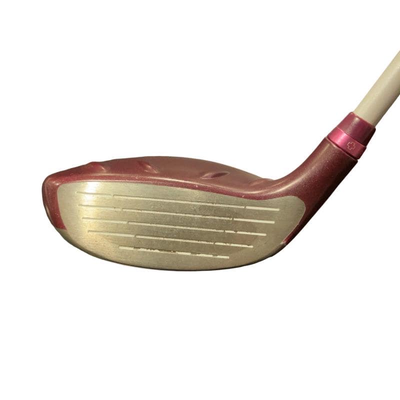 �f�@�k���Q�@�T�v�@���f�B�[�X