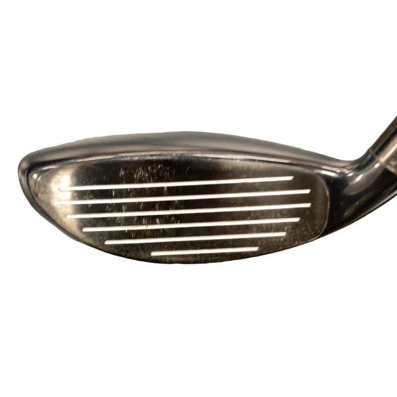 �w�@�g�n�s�@�t�R