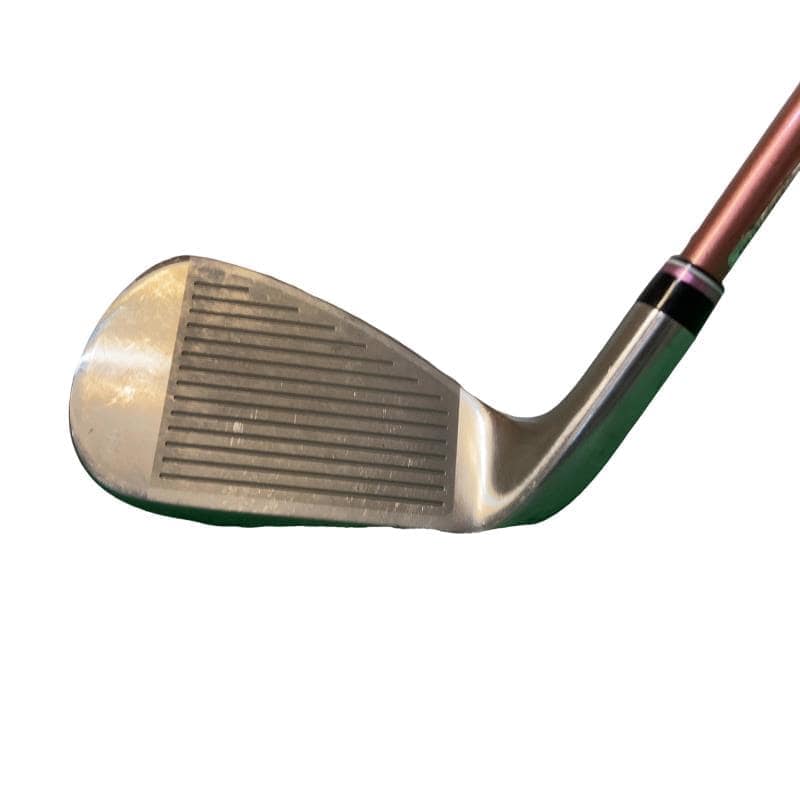 �w�w�h�n�i�Q�O�Q�S�j�@�T�r�i�{���h�[�j�@���f�B�[�X�i���{���F�T�{�Z�b�g�j