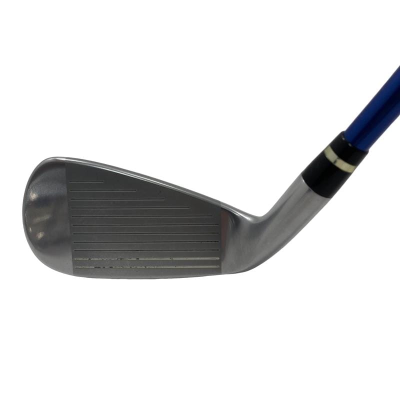 �������������@�t�c�{�Q�@�S�r�i���{���F�S�{�Z�b�g�j