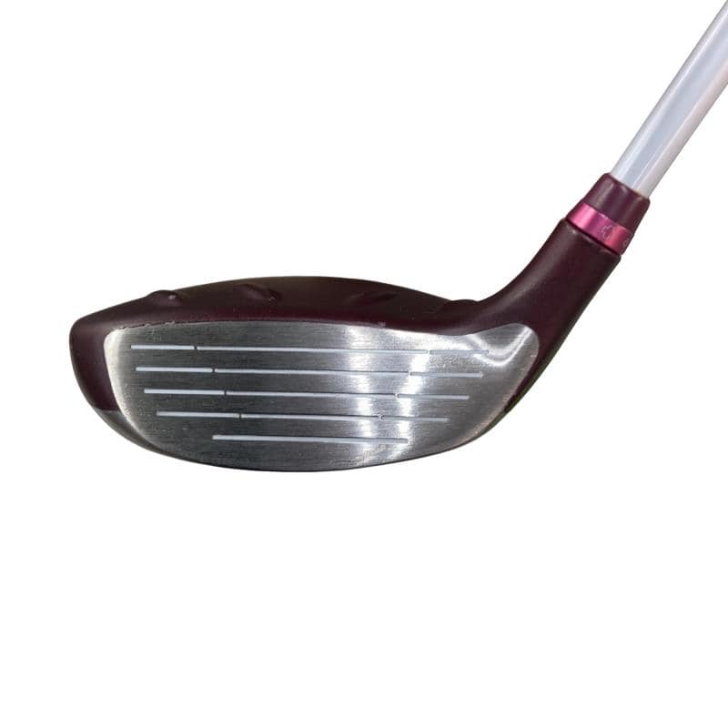 �f�@�k���Q�@�T�v�@���f�B�[�X