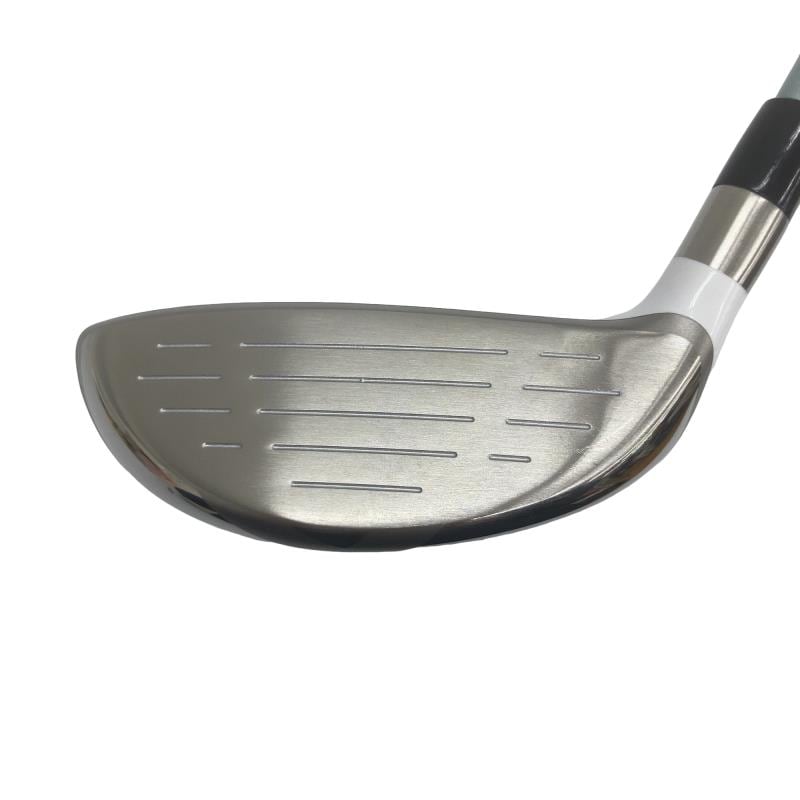 �a�q�|�w�@�T�v�@���f�B�[�X