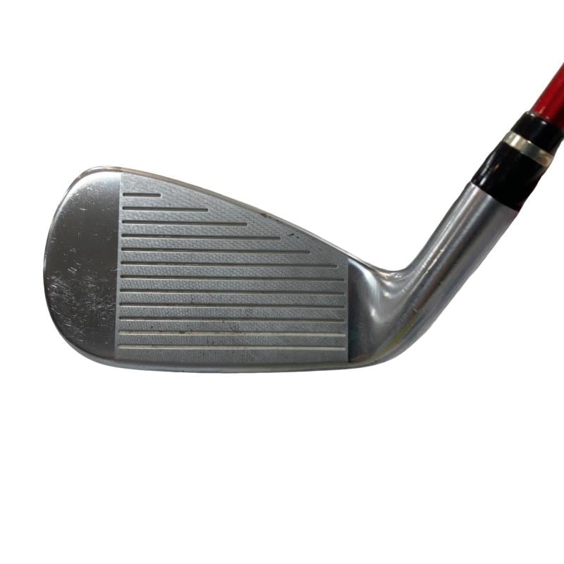 �������������@�q�l�w�@�t�c�{�Q�@�V�r�i���{���F�T�{�Z�b�g�j