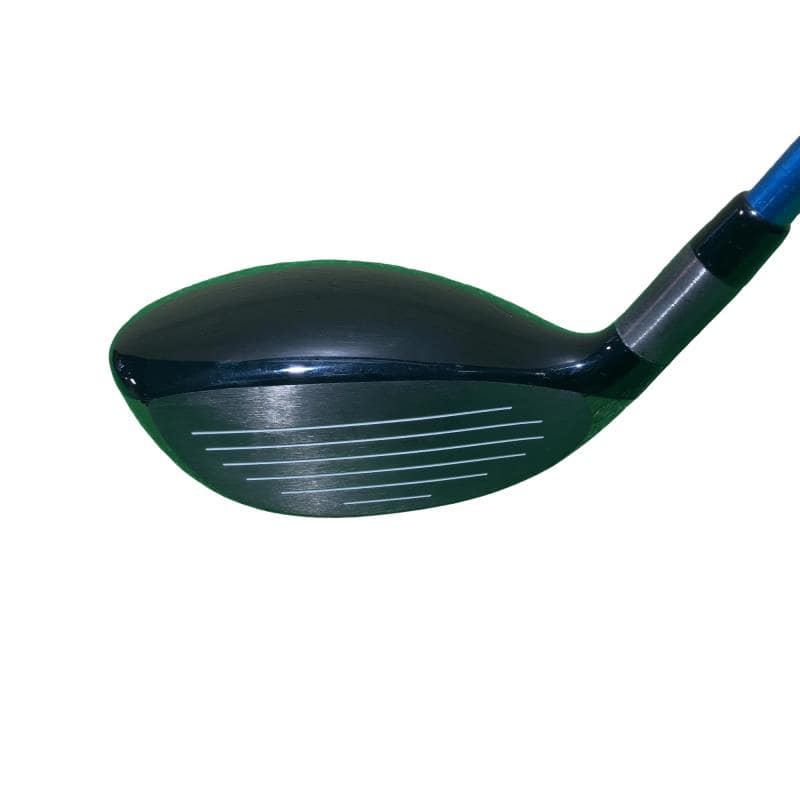 �`�o�d�w�@�t�v�i�Q�O�Q�S�j�@�P�V°