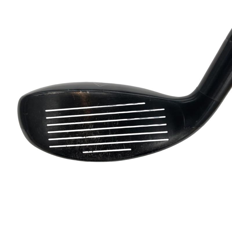 �w�Q�@�g�n�s�@�t�T