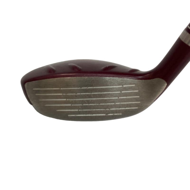 �f�@�k���Q�@�t�S�@���f�B�[�X