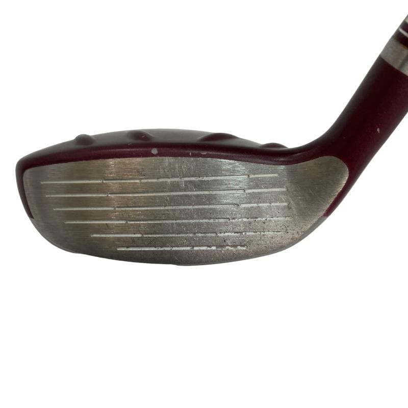 �f�@�k���Q�@�t�T�@���f�B�[�X