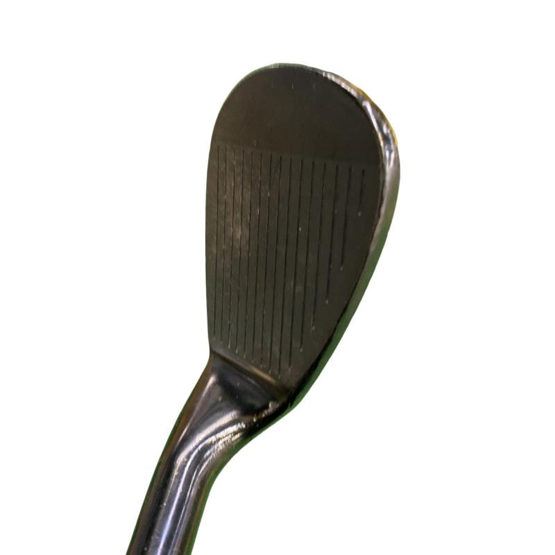 �s�d�`�l�@�s�n�g�n�@���@���C�����@�e�n�q�f�d�c�i�����߁j�@�S�W°�^�S°