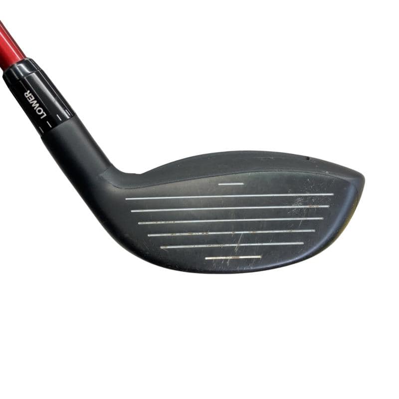 �`���������@�w�s�c�@�����@�P�W°�@���t�e�B