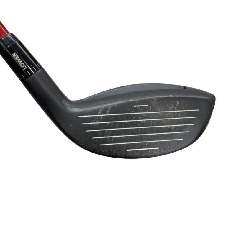 �`���������@�w�s�c�@�����@�P�T°�@���t�e�B