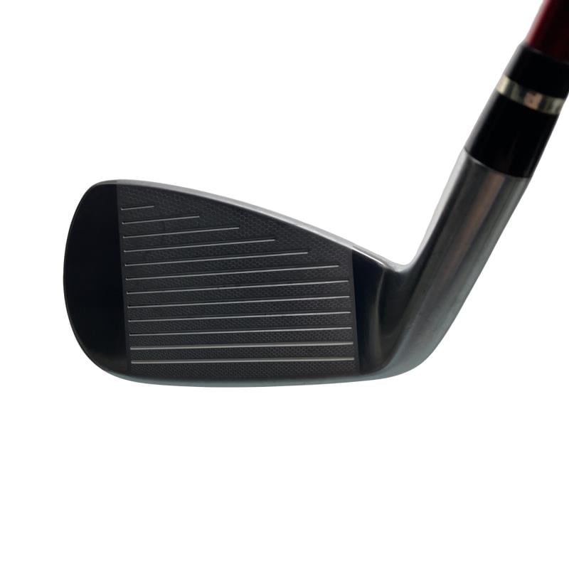 �������������@�q�l�w�@�t�c�{�Q�@�V�r�i���{���F�U�{�Z�b�g�j